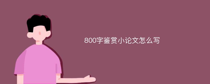 800字鉴赏小论文怎么写